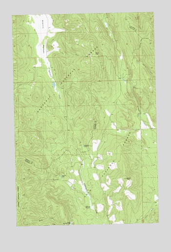 Mantrap Fork, MT USGS Topographic Map