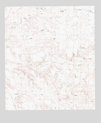 Manzanillo Canyon, TX USGS Topographic Map