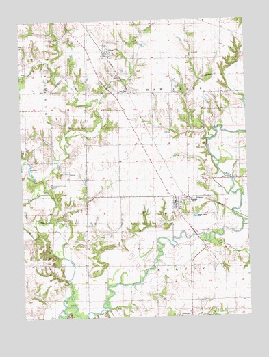 Maquon, IL USGS Topographic Map