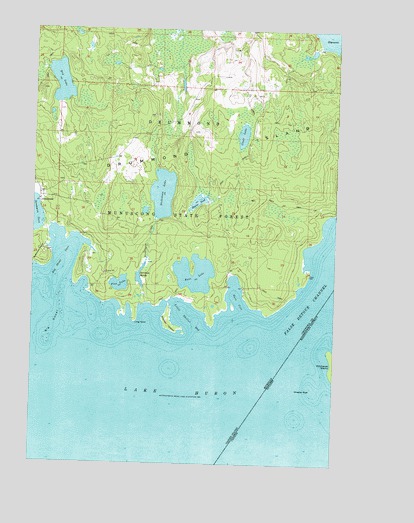 Marble Head, MI USGS Topographic Map