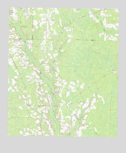 Beach, GA USGS Topographic Map