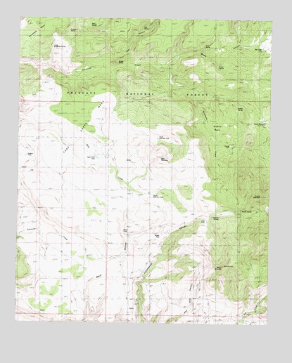 Martin Mountain, AZ USGS Topographic Map