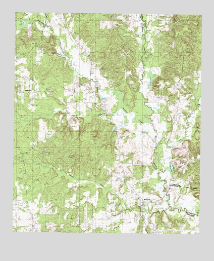Martinsville, TX USGS Topographic Map