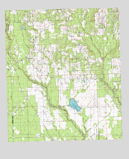 Martinville, LA USGS Topographic Map
