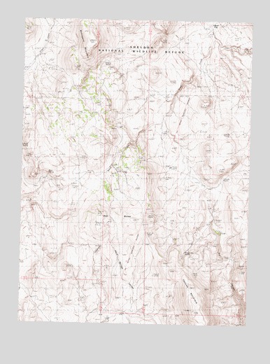 Bear Buttes, NV USGS Topographic Map