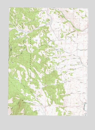 Bear Camp Gulch, ID USGS Topographic Map