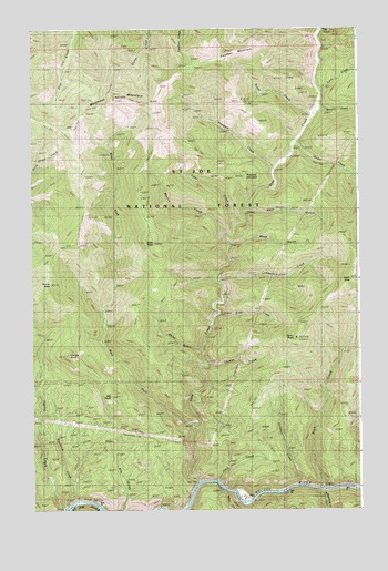 Mastodon Mountain, ID USGS Topographic Map