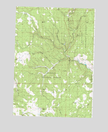 Bear Canyon Butte, OR USGS Topographic Map