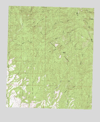 Maverick Mountain, NM USGS Topographic Map