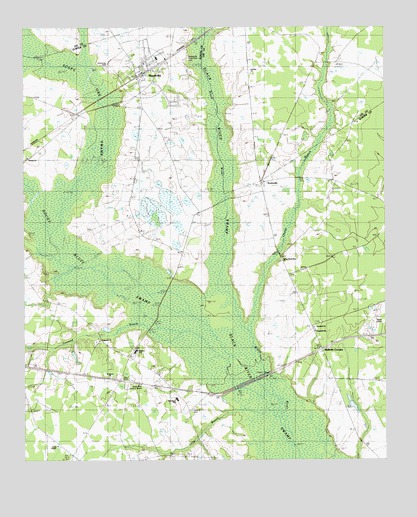 Mayesville, SC USGS Topographic Map