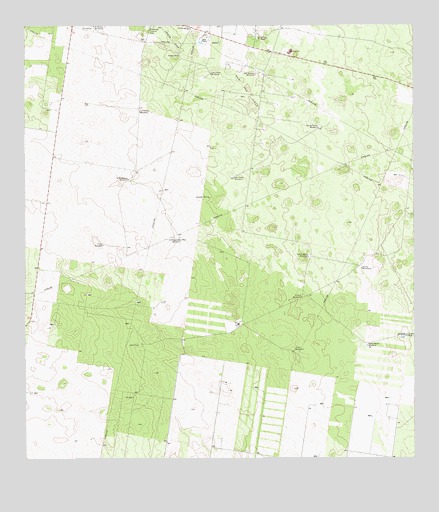 McAllen Ranch, TX USGS Topographic Map
