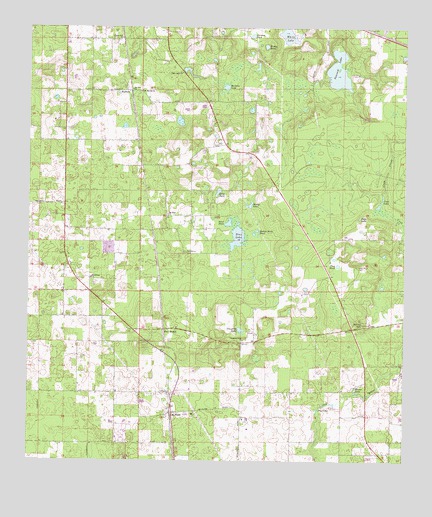 McAlpin, FL USGS Topographic Map