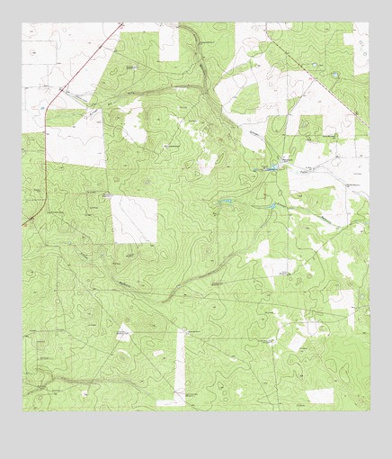 McCampbell Ranch, TX USGS Topographic Map