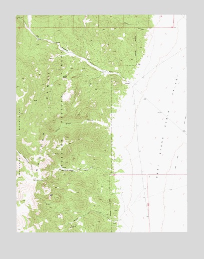 McCann Canyon, NV USGS Topographic Map