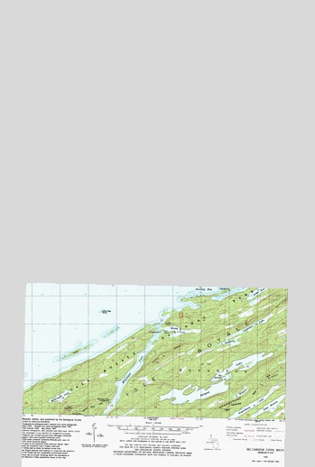 McCargoe Cove, MI USGS Topographic Map