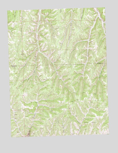 McCarthy Gulch, CO USGS Topographic Map
