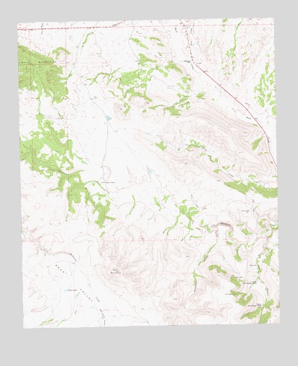 Bear Mountain, NM USGS Topographic Map