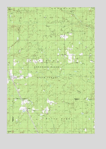 McFarland, MI USGS Topographic Map
