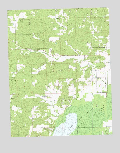 McGee, MO USGS Topographic Map