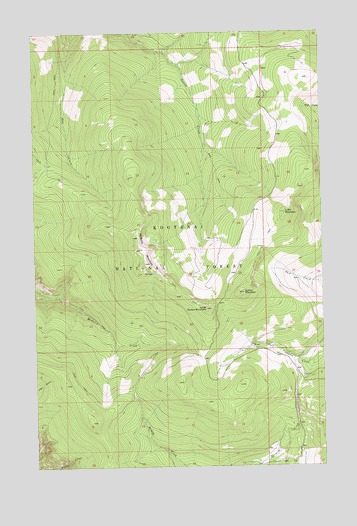 McGuire Mountain, MT USGS Topographic Map