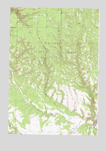 McIntyre Creek, OR USGS Topographic Map