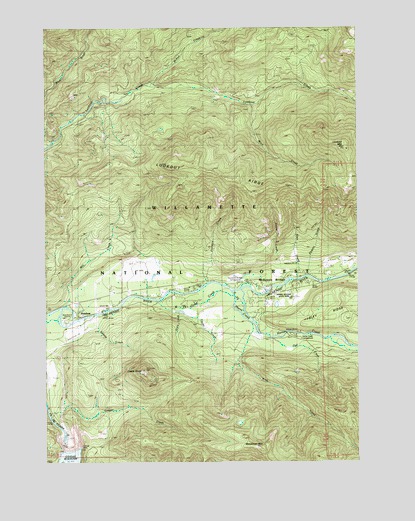 McKenzie Bridge, OR USGS Topographic Map