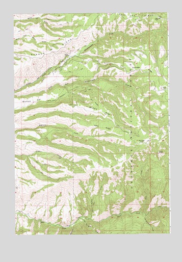 McKinzie Creek, ID USGS Topographic Map