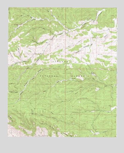 Bear Spring, NM USGS Topographic Map