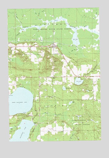 McMillan, MI USGS Topographic Map