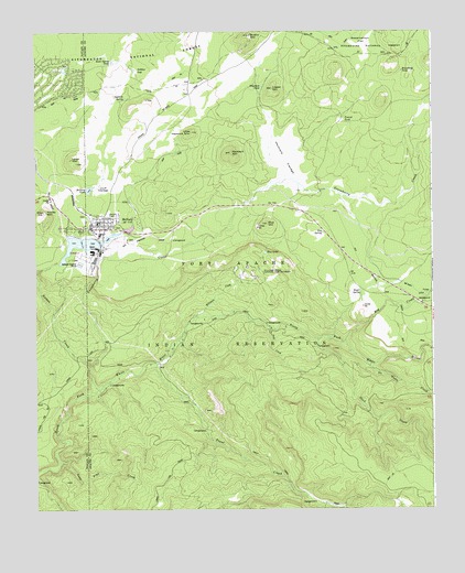 McNary, AZ USGS Topographic Map