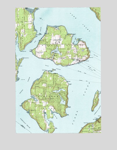 McNeil Island, WA USGS Topographic Map