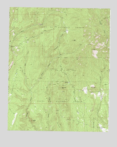 Bear Springs Peak, NM USGS Topographic Map