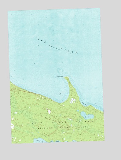 McRae Bay, MI USGS Topographic Map