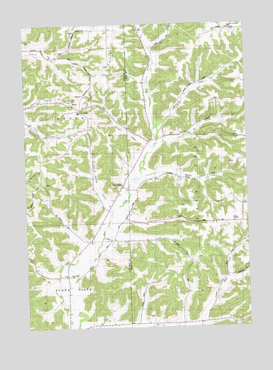 Bear Valley, WI USGS Topographic Map