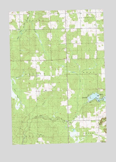 Mead Lake West, WI USGS Topographic Map