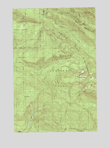 Meadow Mountain, WA USGS Topographic Map