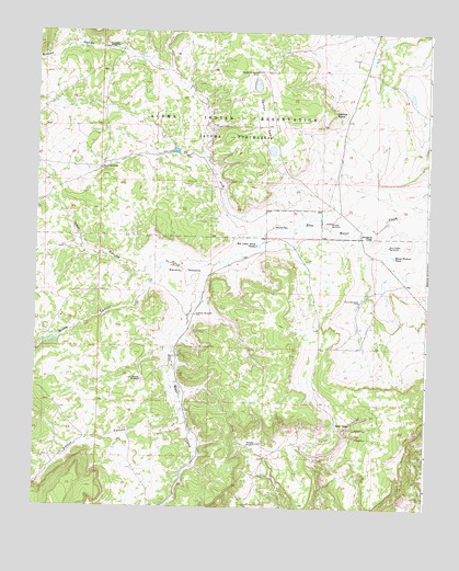 Mecate Meadow, NM USGS Topographic Map