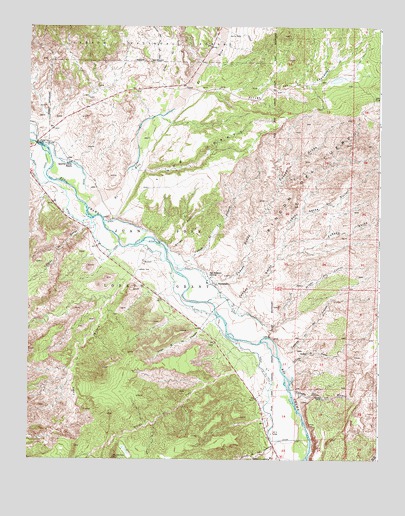 Medanales, NM USGS Topographic Map