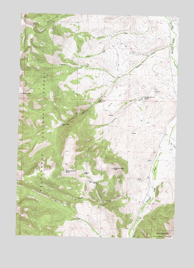 Medicine Lodge Peak, MT USGS Topographic Map