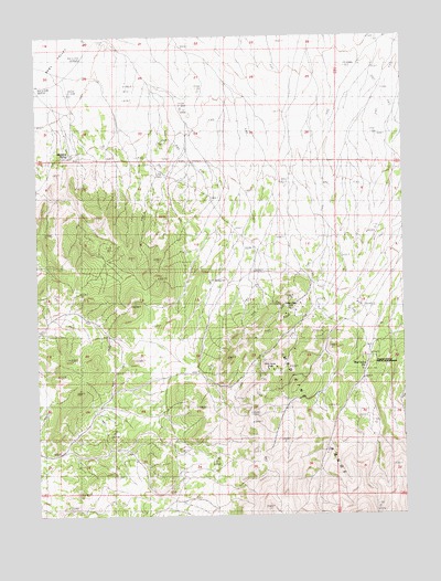 Medicine Spring, NV USGS Topographic Map