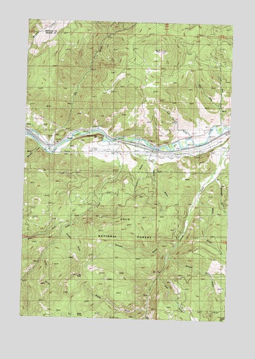Medicine Tree Hill, MT USGS Topographic Map