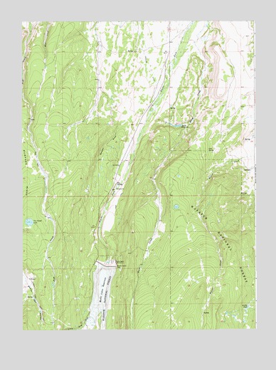 Meeks Cabin Reservoir, WY USGS Topographic Map