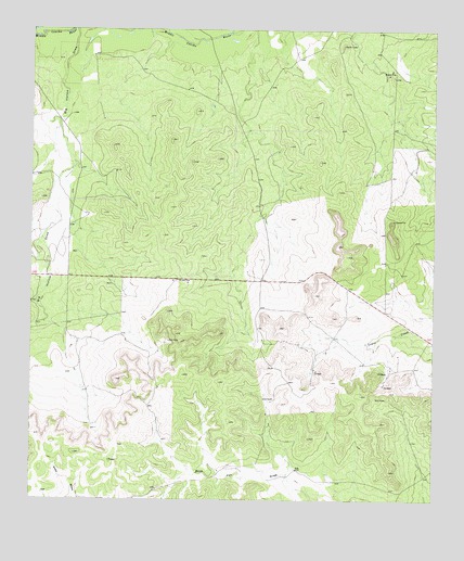 Mertzon SW, TX USGS Topographic Map