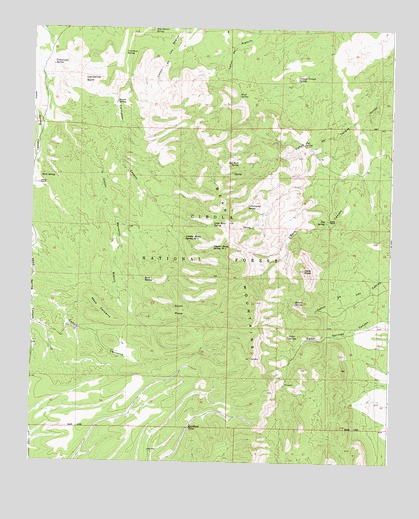 Mesa Cencerro, NM USGS Topographic Map