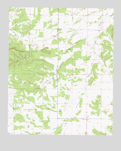 Mesa Draw, NM USGS Topographic Map