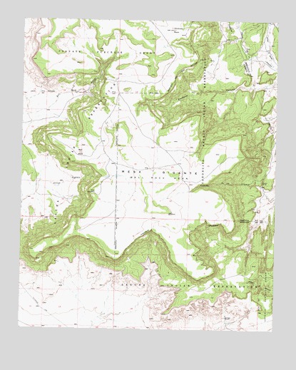 Mesa Gigante, NM USGS Topographic Map