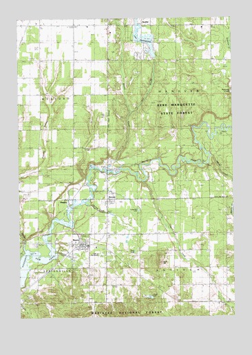 Mesick, MI USGS Topographic Map