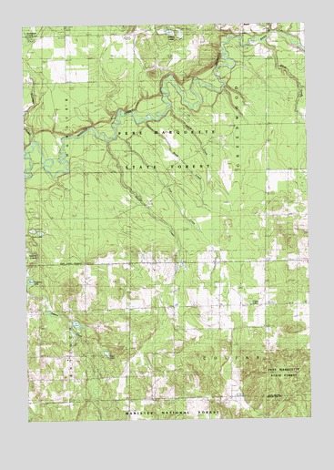 Mesick NE, MI USGS Topographic Map