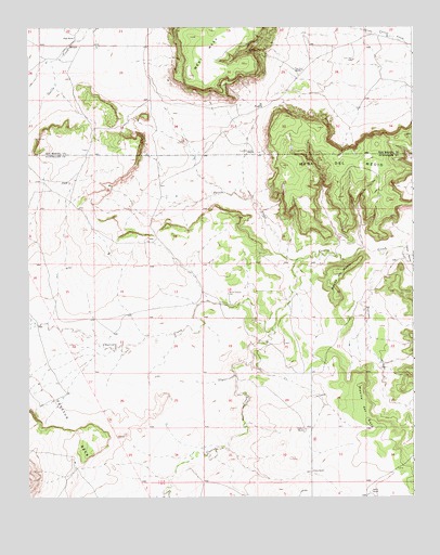 Mesita Del Gato, NM USGS Topographic Map