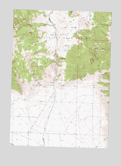 Methodist Creek, ID USGS Topographic Map